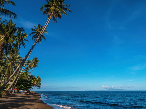 Filipinler Deki Tropikal Bir Adada Yüksek Hindistan Cevizi Palmiyeleri Parlak — Stok fotoğraf