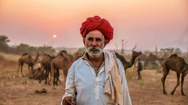 Pushkar Indien November 2015 Eine Nahaufnahme Eines Kamelhändlers Aus Rajasthan — Stockfoto