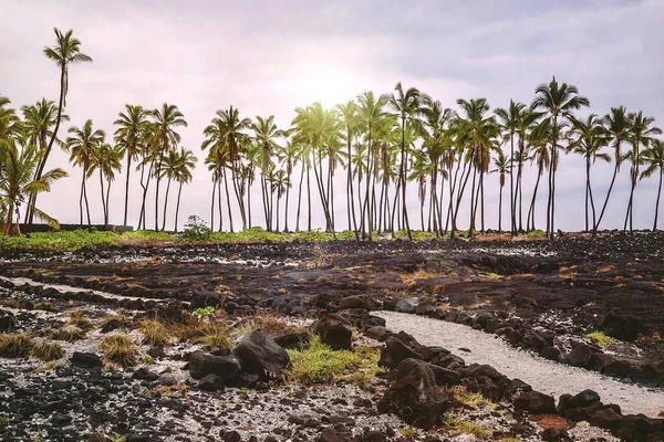 Puuhonua 'nın çorak lav tarlaları ya da Hawaii' nin eski yasaları çiğnediği için af arayabileceği Sığınak Şehri. Puuhonua o Honaunau Ulusal Tarih Parkı Büyük Hawaii Adası, Honaunau 'da