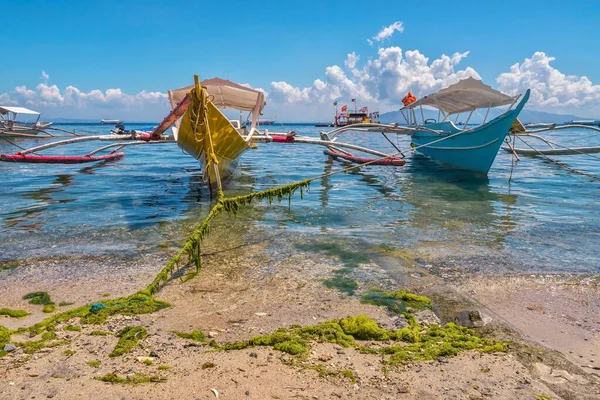 สาหร ายท ดจากมลพ ษทางน บโตบนชายหาดและเส นจอดเร อในพ สอร องเท ยวบนเกาะในฟ — ภาพถ่ายสต็อก