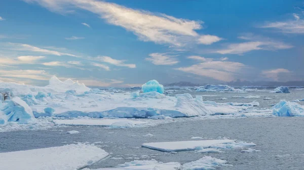 Icebergs floating and melting near the Weddell Sea, with Snow Hill Island in the distant background.