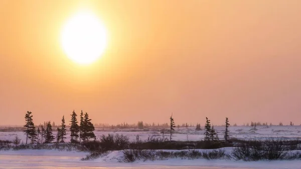 Freddo Paesaggio Invernale Nel Nord Del Canada Come Fenomeno Atmosferico — Foto Stock