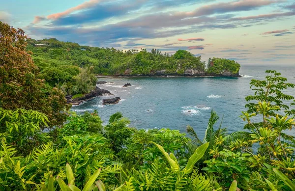 Hilo, Hawaii yakınlarındaki gözlerden uzak güzel bir koy, yemyeşil tropikal bitki örtüsü ve pitoresk manzarası var..