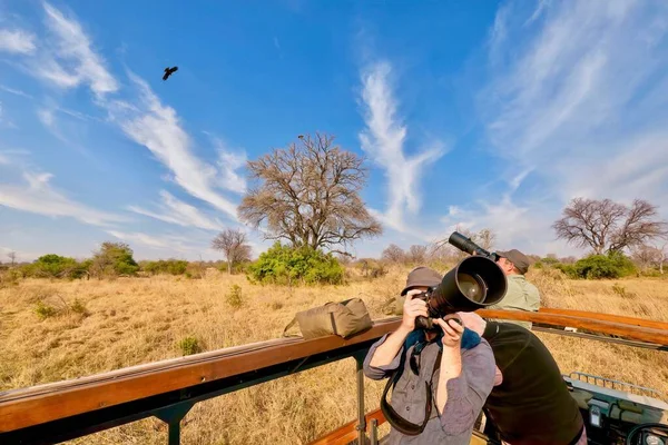 Moremi Game Reserve Botswana September 2014 游客们在拍照时 会从敞篷的车上给空中捕食的鸟儿拍照 — 图库照片