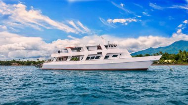 Filipinler 'deki tropikal bir adanın önüne demirlemiş olan ve aynı zamanda canlı bir dalış aracı olarak kullanılan güzel, özel bir motorlu yat, iyi bir yaşam sürme kavramını gözler önüne seriyor..