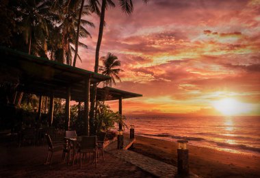 Denizin üzerinde Hindistan cevizi palmiyeleri ve yumuşak ışığa karşı gölgede bir yemek alanı olan kırsal bir sahil beldesinde renkli bir gün doğumu. Filipinler.