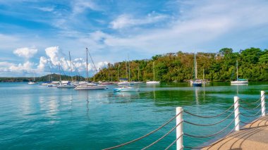 Filipinler 'in Puerto Galerisi' ndeki Muelle Körfezi 'nin sakin sularında demirli yatlar. Bir halk parkının avlusunda çekilmiş..