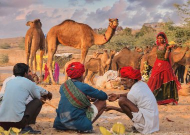 Pushkar, Hindistan - 20 Kasım 2015. Rajasthani deve tüccarları, bir kadın olarak, yıllık Pushkar Deve Fuarı 'nın çöl kampında, yiyeceklerle birlikte yürüyorlar..