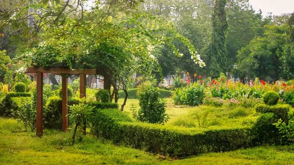 Street View Lush Green Botanical Gardens French Quarter Puducherry Formerly — Stock Photo, Image