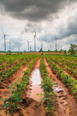Büyük Rüzgar türbinleri Tayland grup 