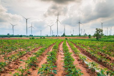 Büyük Rüzgar türbinleri Tayland grup 