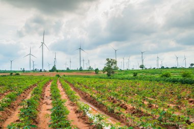 Büyük Rüzgar türbinleri Tayland grup 