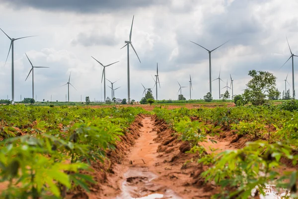 Büyük Rüzgar türbinleri Tayland grup 
