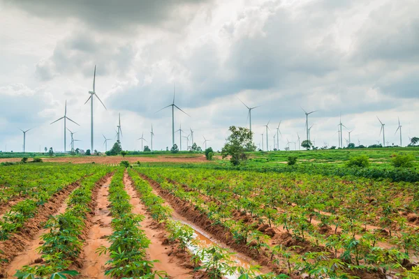 Büyük Rüzgar türbinleri Tayland grup 