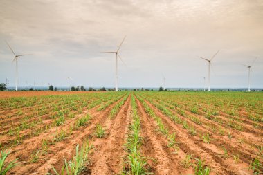 Rüzgar güç teçhizatları tarım ülke Tayland at. 