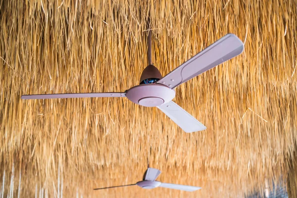 Deckenventilatoren auf dem Feld mit braunem Gras Decke Hintergrund. — Stockfoto