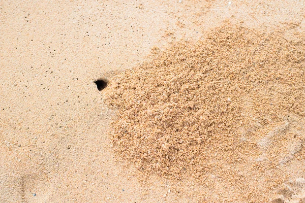 Hole of small crab and sand beach — Stock Photo, Image