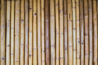 Bambu duvar dokuları Field