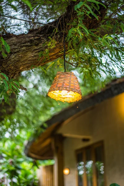 ツリーの装飾的なランプ — ストック写真