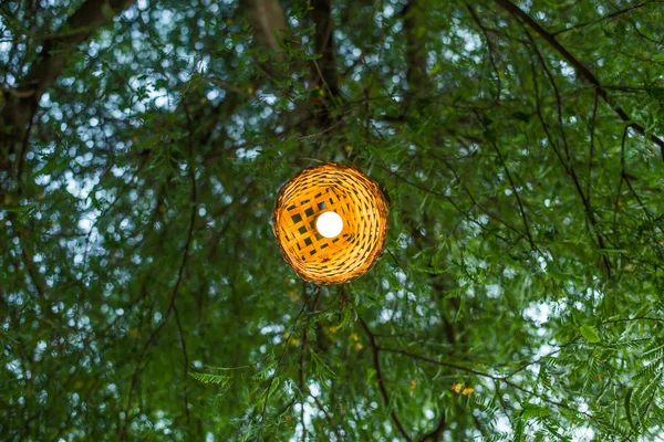 Decorative lamp on the tree