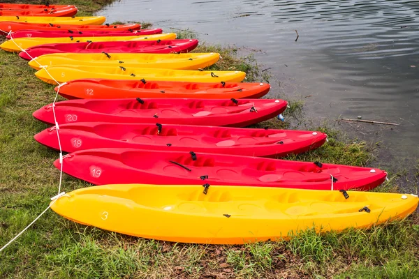 Kayak grupo en el río en el parque nacional . — Foto de Stock