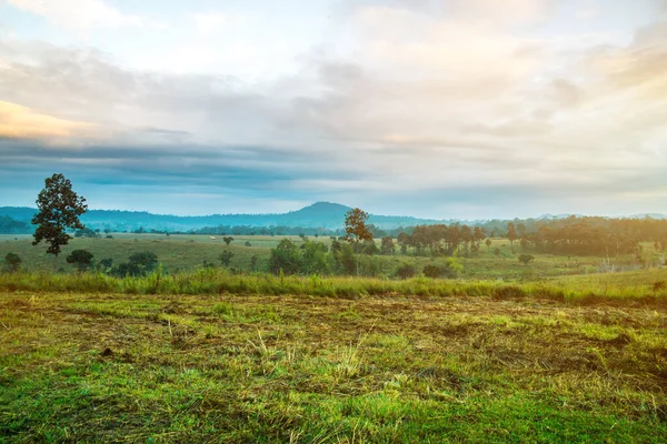 Thung Salaeng Luang ulusal parkı Phitsanulok ve Phetchabun illeri, Tayland