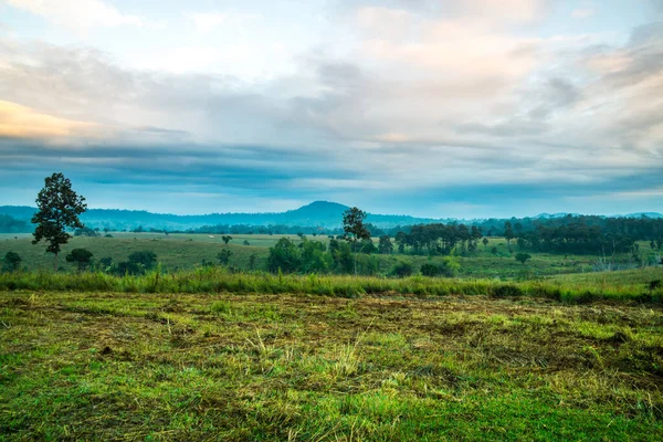 Thung Salaeng Luang ulusal parkı Phitsanulok ve Phetchabun illeri, Tayland