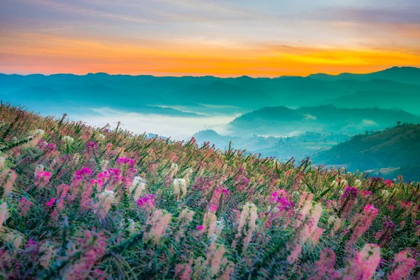 Moktawan Mirador Más Espectacular Del Mar Niebla Provincia Tak Tailandia — Foto de Stock