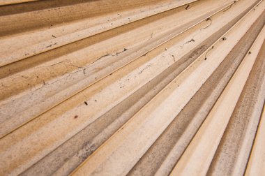 Şeker palmiye yaprağı kurutulmuş