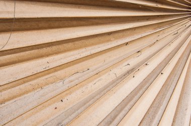 Şeker palmiye yaprağı kurutulmuş