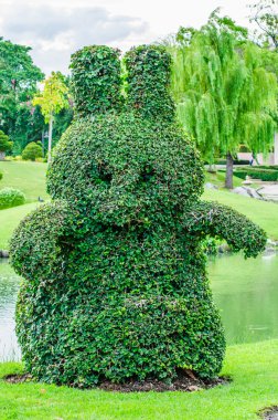 Suanluang Rama IX Park hayvan ağaçlar
