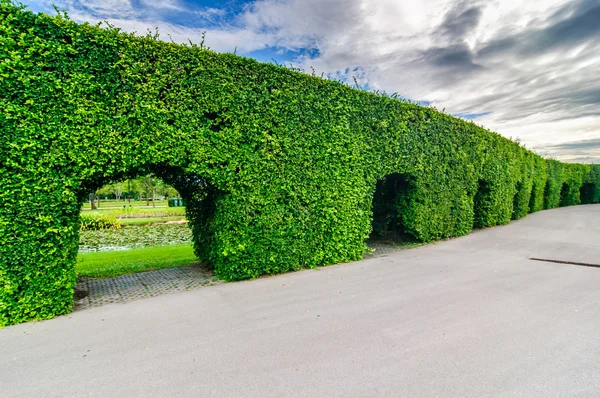 ağaçlar duvar Suanluang Rama IX Park