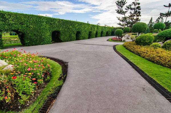 Landscaping trimmed trees in public park, Bangkok, Thailand — Stock Photo, Image