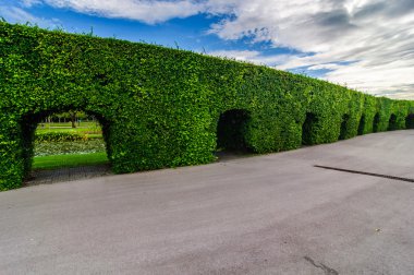 Peyzaj kesilmiş ağaçların kamu Park, Bangkok