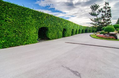 Peyzaj kesilmiş ağaçların kamu Park, Bangkok