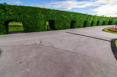 Peyzaj kesilmiş ağaçların kamu Park, Bangkok