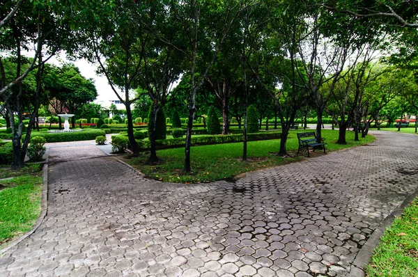 Pasarela y árboles archivados en el jardín . — Foto de Stock