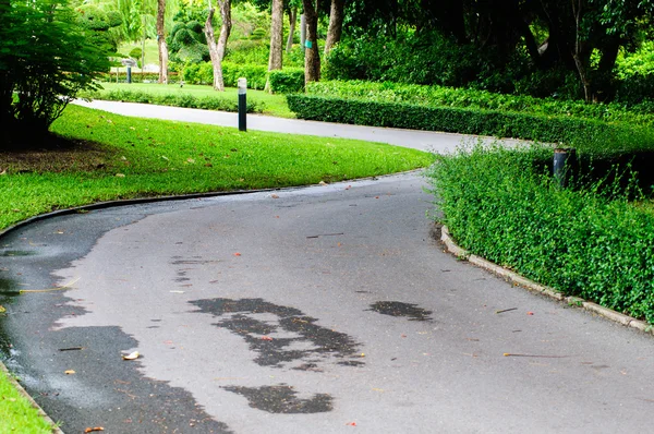 Pasarela y árboles archivados en el jardín . — Foto de Stock