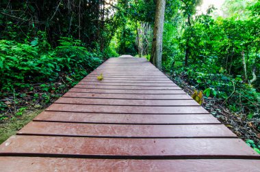Wood walkway on a wild park to the Waterfall Huay Mae Kamin, Thailand.