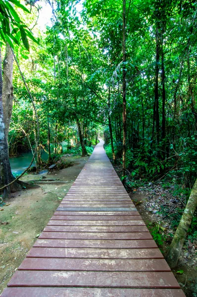 Passerella in legno su un parco selvaggio Cascata Huay Mae Kamin — Foto Stock
