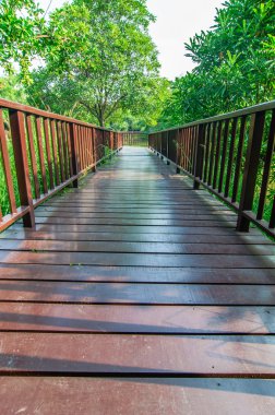 Bahçedeki köprü ahşap yürüyüş.