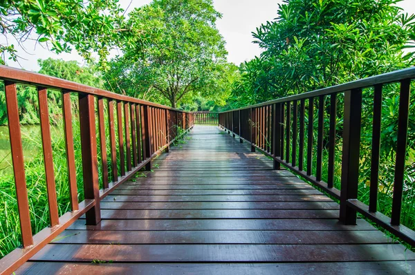 Bridge wood walk  in the garden. — Stock Photo, Image