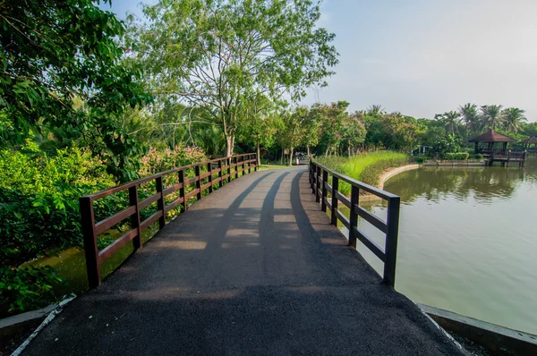 Estrada maneira ciclistas no jardim, Tailândia — Fotografia de Stock