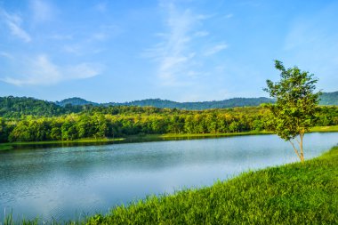 Orman dağ jedkod Parkı, saraburi
