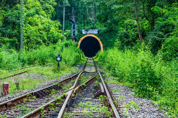 Tren tünele doğru dağlar, Tayland.