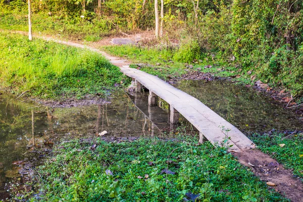 Sentiero di cemento sulla foresta — Foto Stock