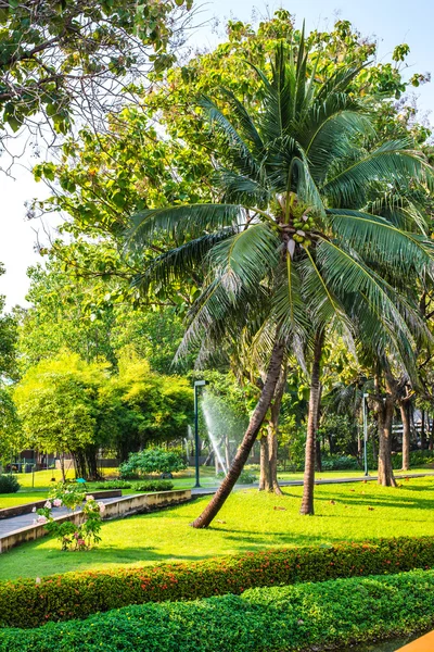 Jardim no Benjakiti Park em Bangkok, Tailândia — Fotografia de Stock