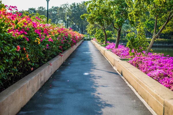 Caminho no Benjakiti Park em Bangkok, Tailândia — Fotografia de Stock