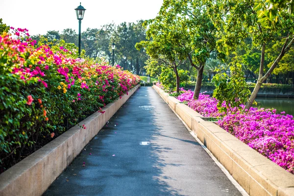 Camino en el Parque Benjakiti en Bangkok, Tailandia — Foto de Stock