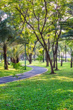 Yol bisikleti Benjakiti Park Bangkok, Tayland için